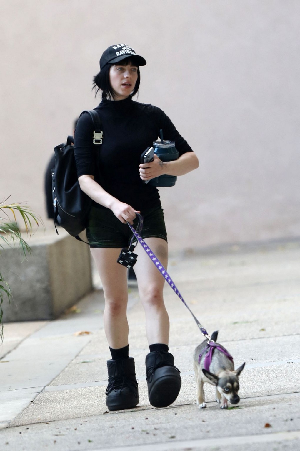 billie-eilish-leggy-thefappening-cfd-10 Billie Eilish In Shorts