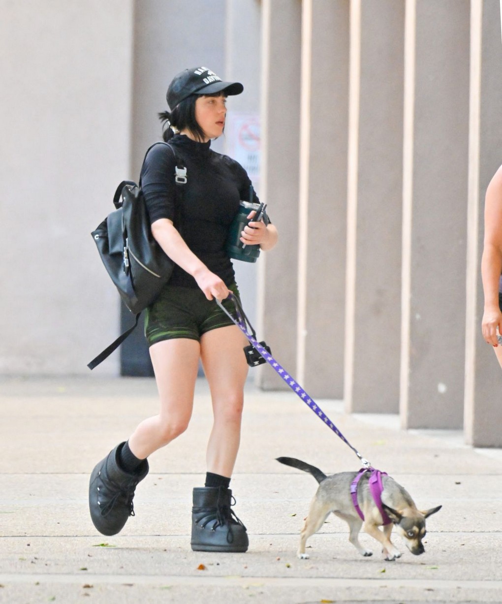 billie-eilish-leggy-thefappening-cfd-2 Billie Eilish Sexy