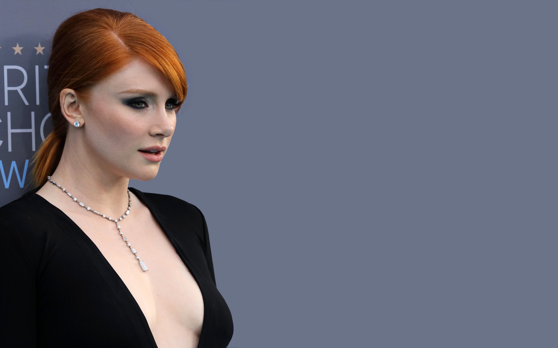 bryce-dallas-howard-nude-sexy-27 Bryce Dallas Howard Tits