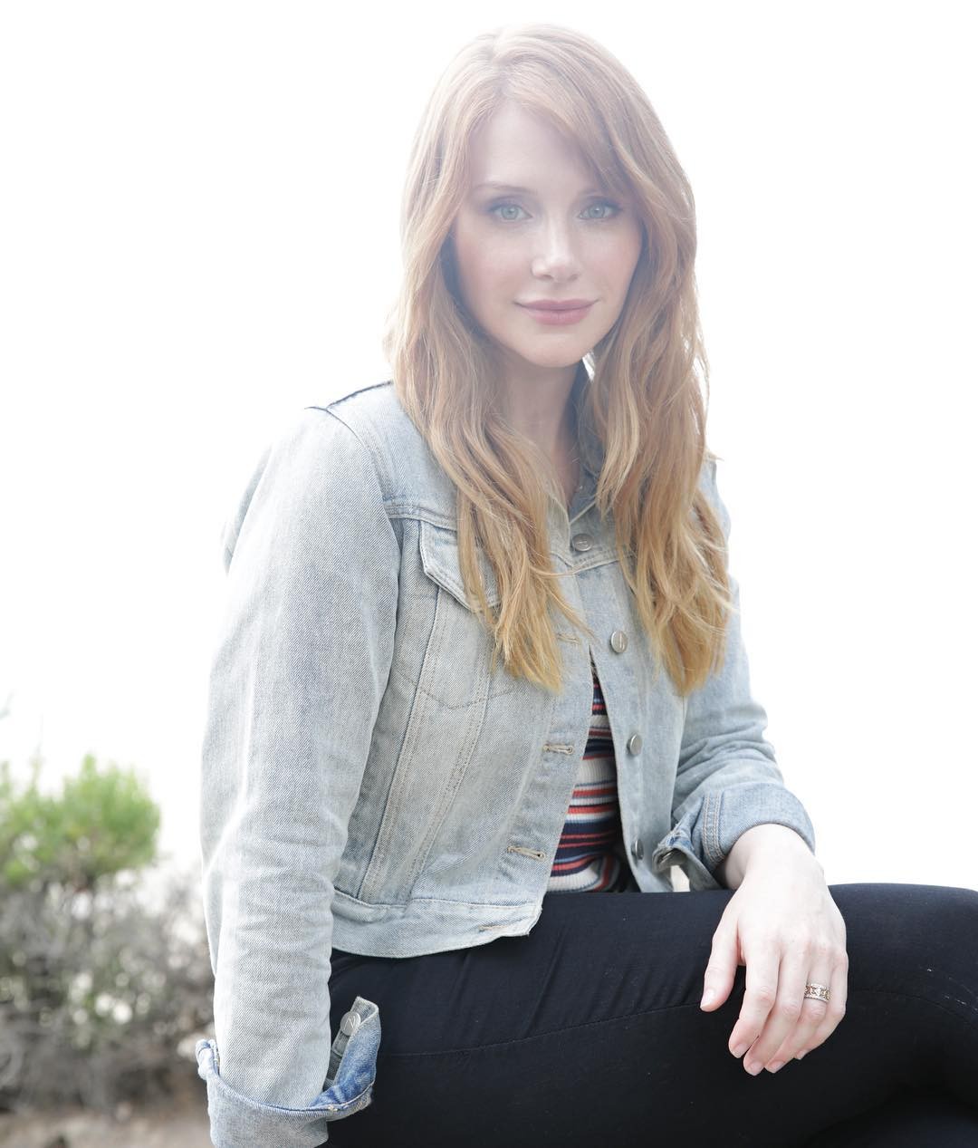bryce-dallas-howard-nude-sexy-the-fappening-pro-18 bryce dallas howard nude sexy the fappening pro 18