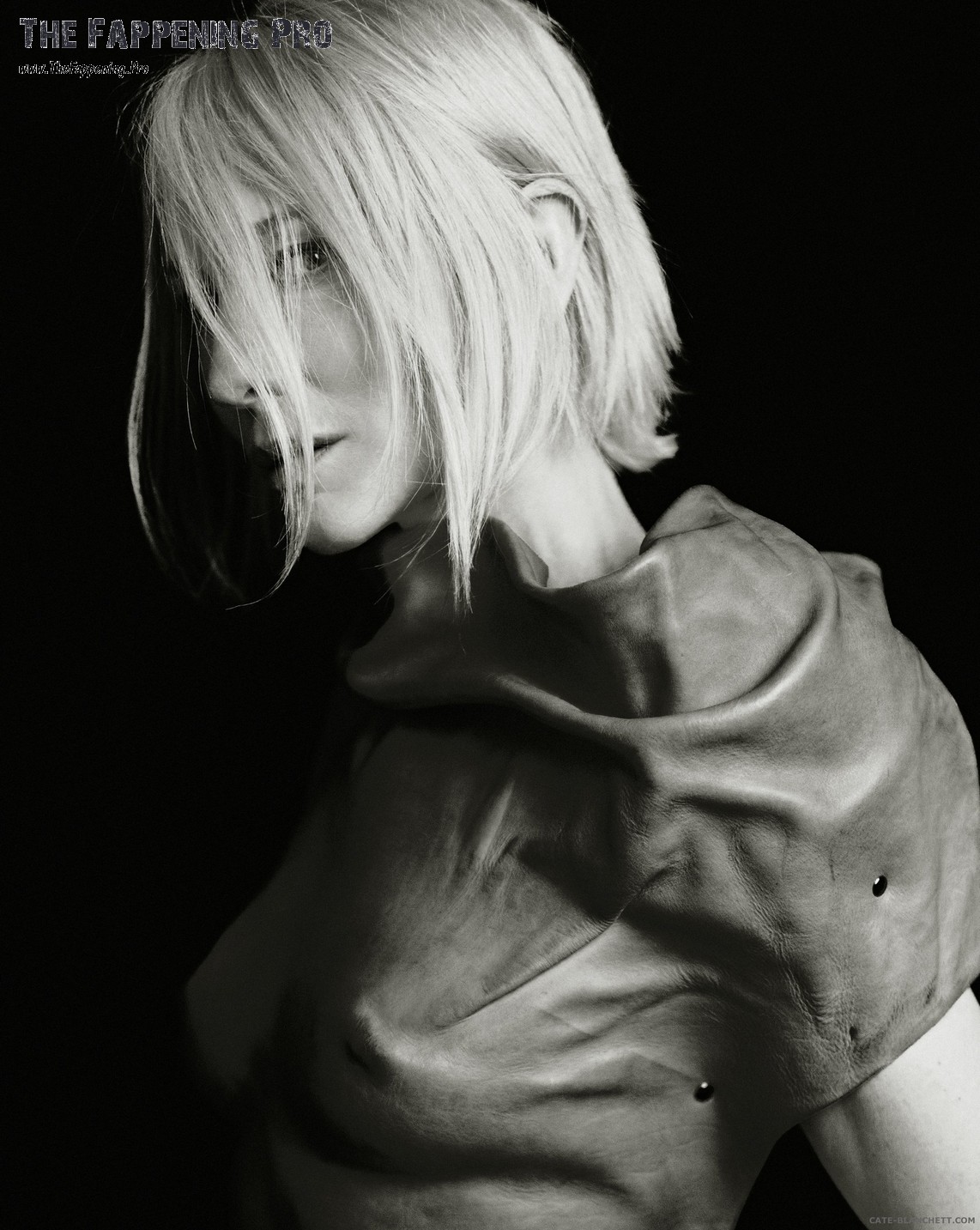cate-blanchett-sexy-thefappening-cfd-6 cate blanchett sexy thefappening cfd 6