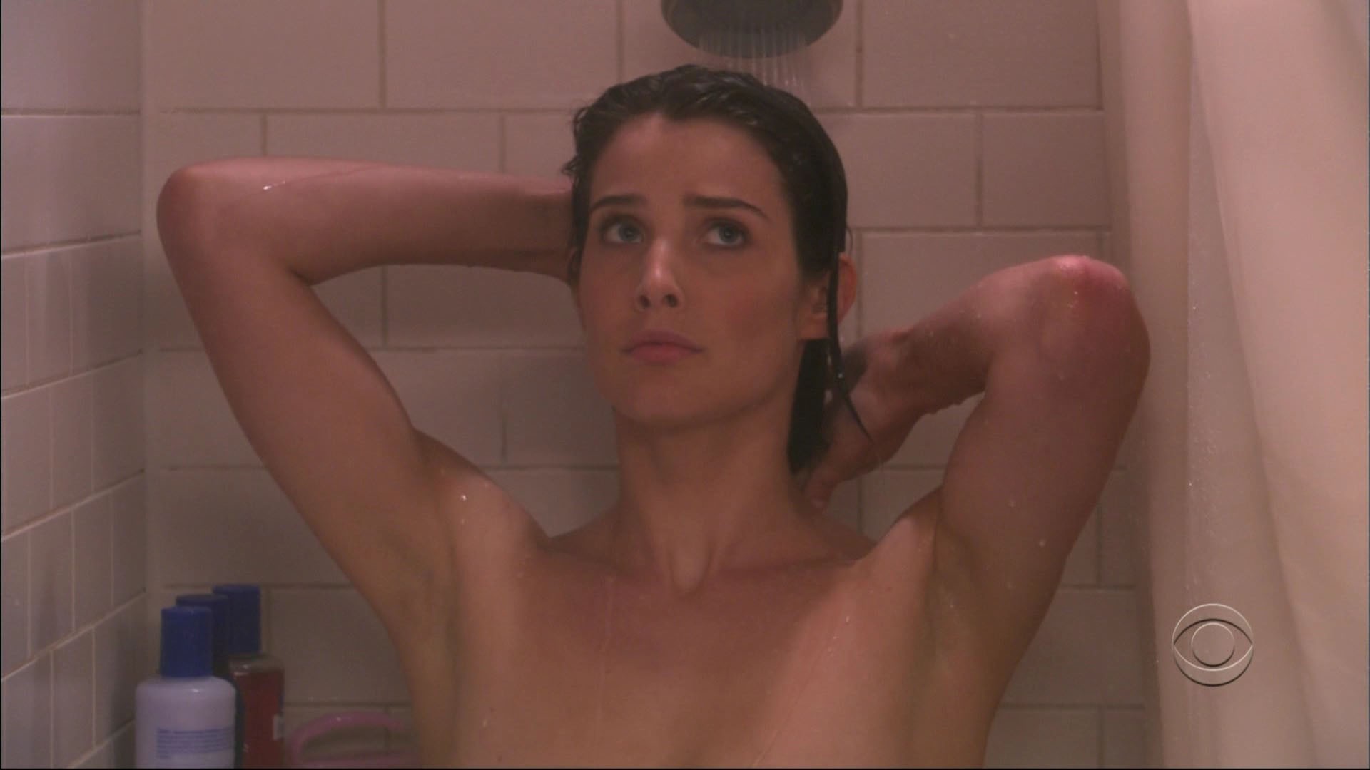 cobie-smulders-nude-sexy-42 cobie-smulders-nude-sexy-42