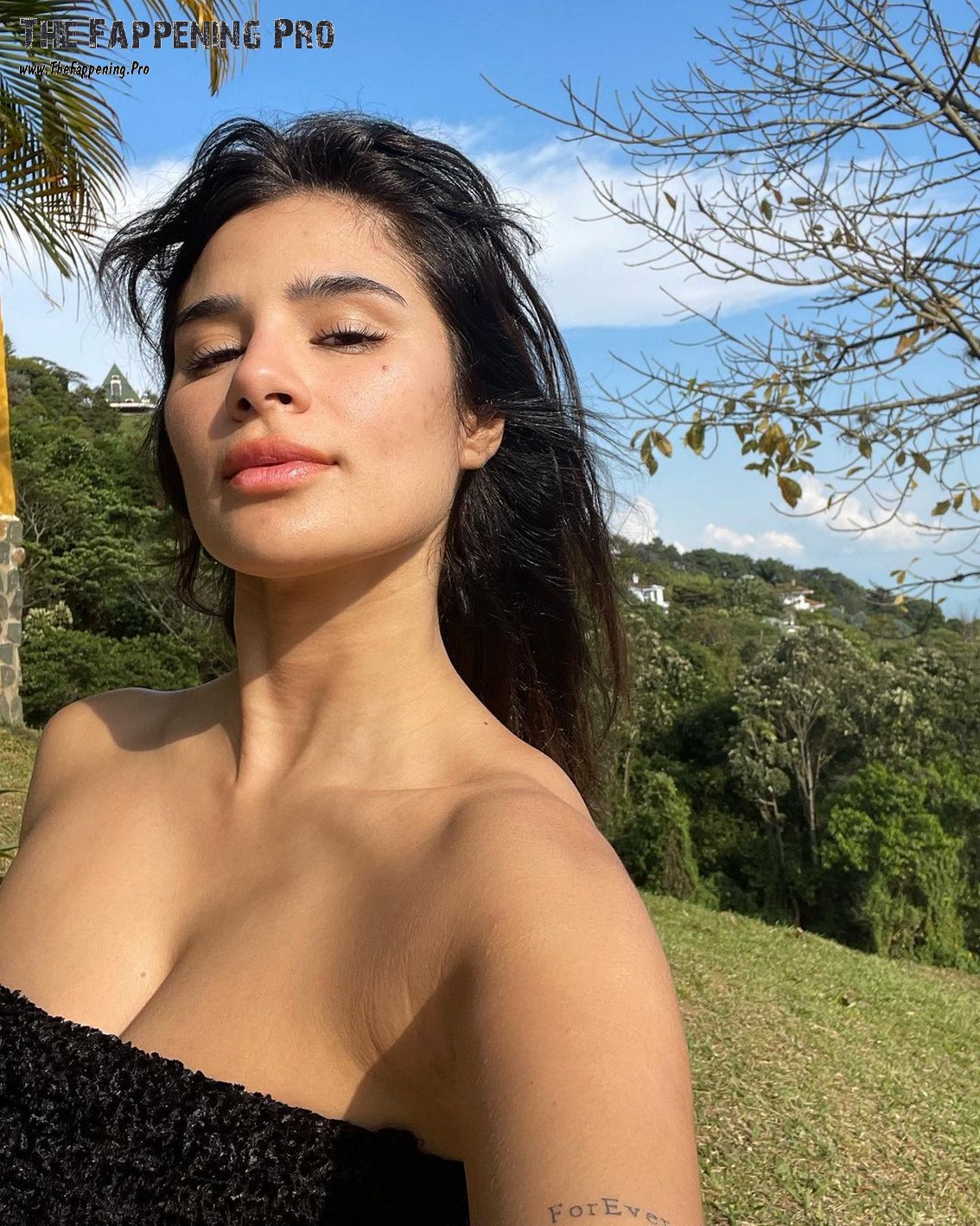 diane-guerrero-sexy-thefappening-cfd-3 Diane Guerrero Lingerie