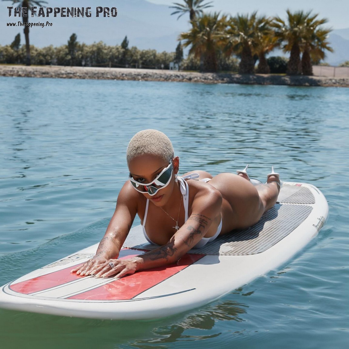 doja-cat-nude-thefappening-cfd-4 Doja Cat Hot