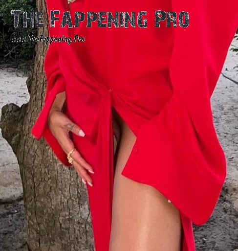 dua-lipa-pussy-thefappening-cfd-9 dua lipa pussy thefappening cfd 9