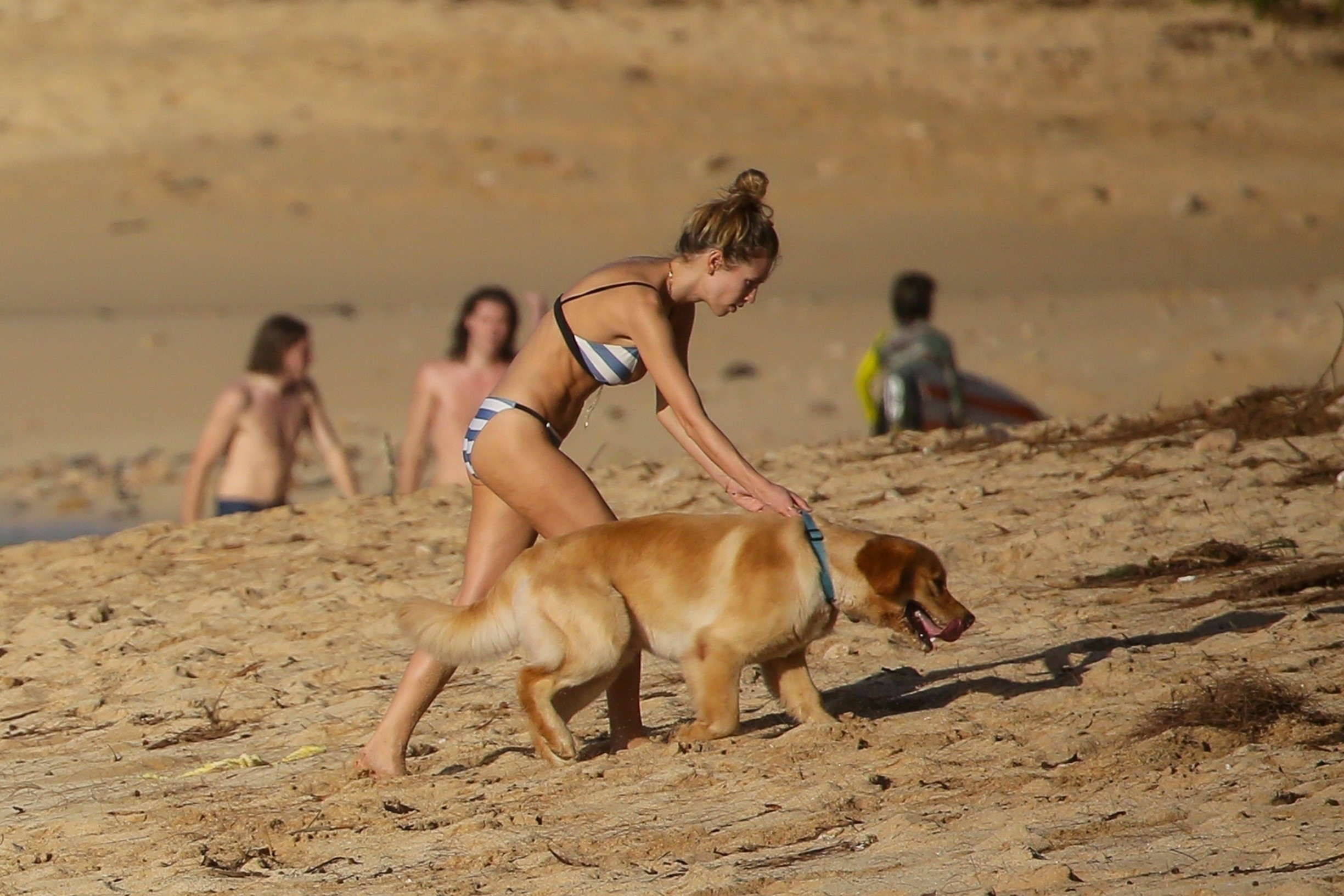 dylan-penn-sexy-bikini-3 dylan penn sexy bikini 3