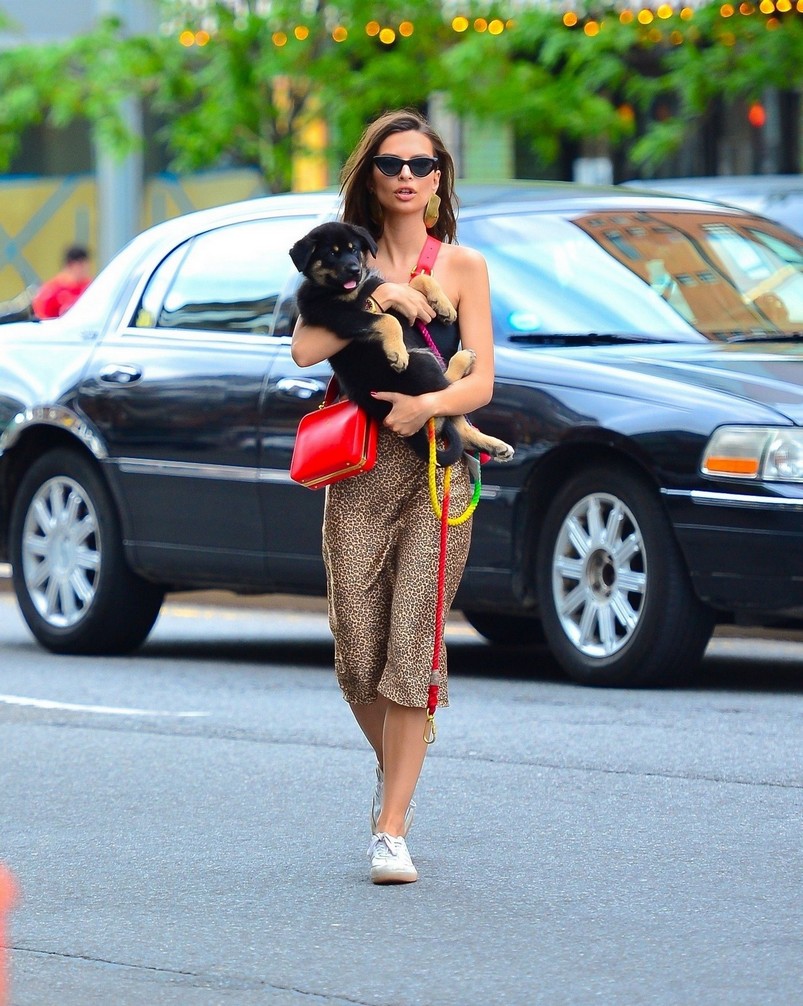 emily-ratajkowski-out-ny-with-dog-2 emily ratajkowski out ny with dog 2