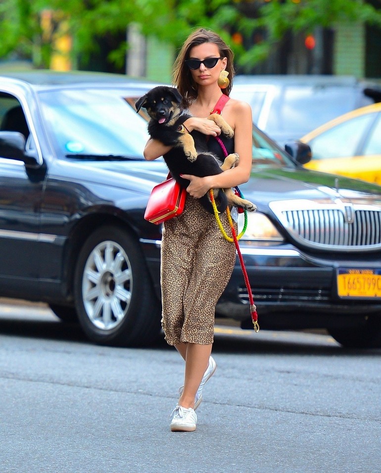 emily-ratajkowski-out-ny-with-dog-3 emily ratajkowski out ny with dog 3