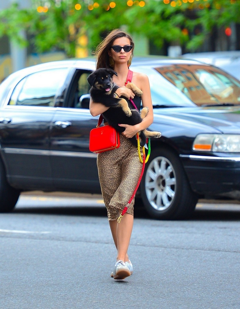 emily-ratajkowski-out-ny-with-dog-7 emily ratajkowski out ny with dog 7