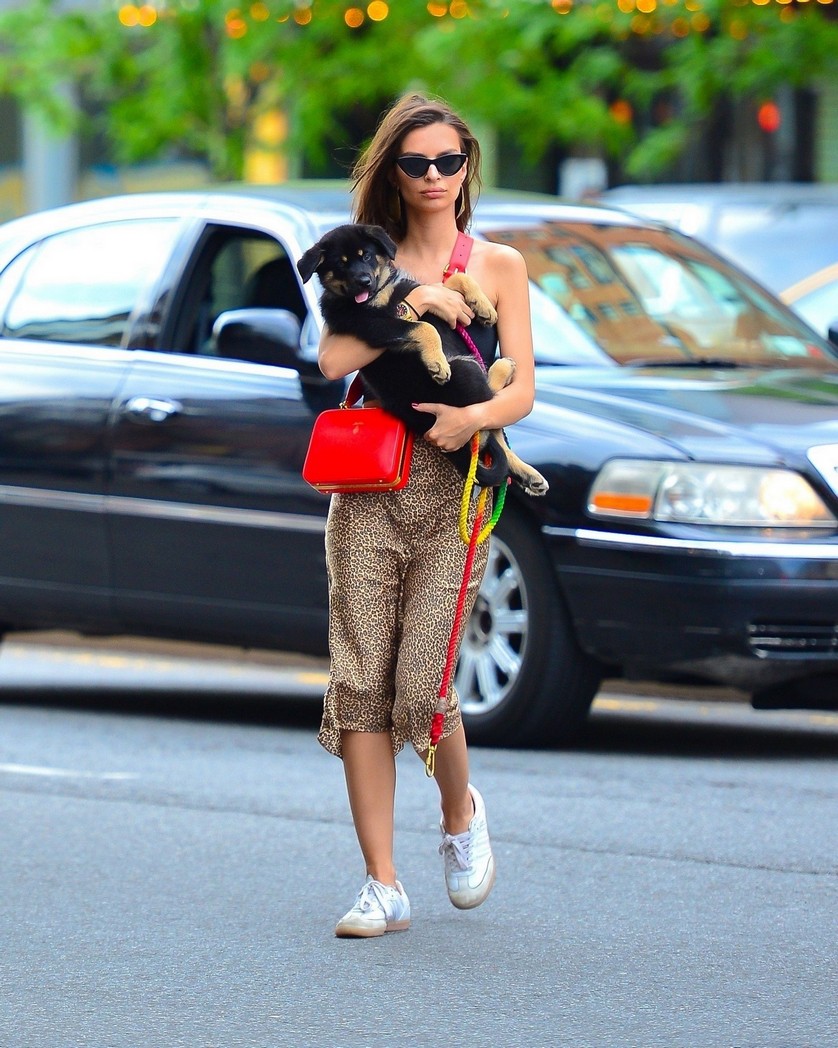 emily-ratajkowski-out-ny-with-dog-8 emily ratajkowski out ny with dog 8