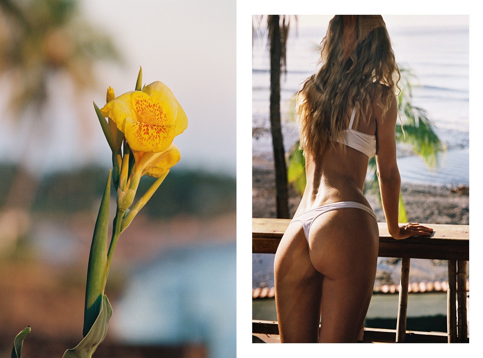 frida-aasen-hot-thefappening-cfd-21 frida aasen hot thefappening cfd 21
