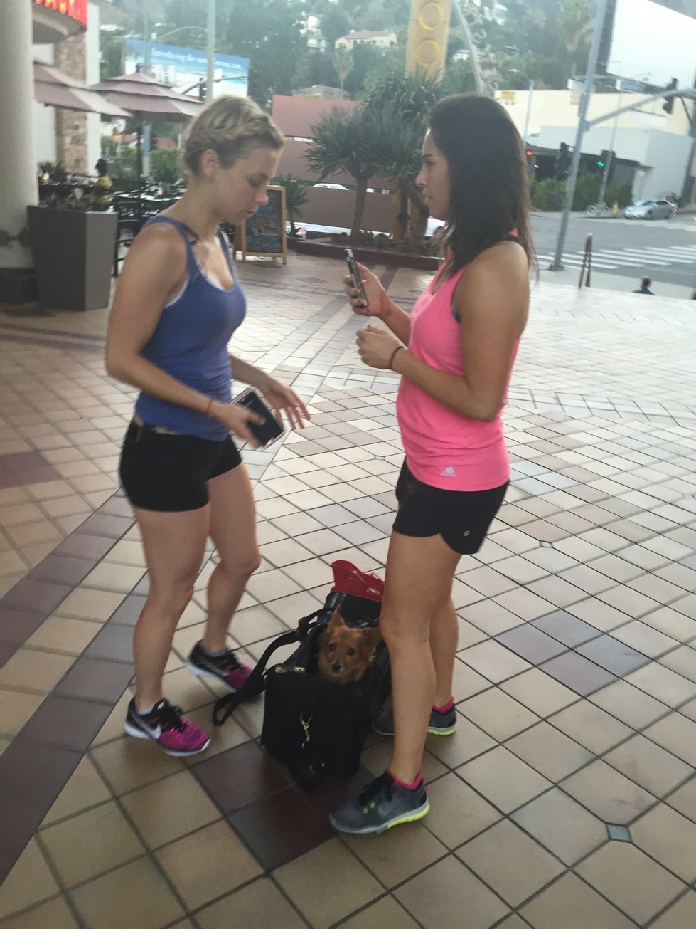 iliza-shlesinger-nude-thefappening-88 iliza shlesinger nude thefappening 88