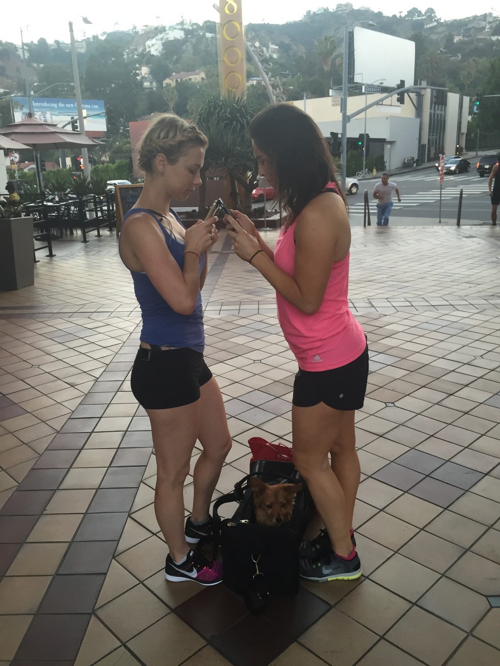 iliza-shlesinger-nude-thefappening-89 iliza shlesinger nude thefappening 89