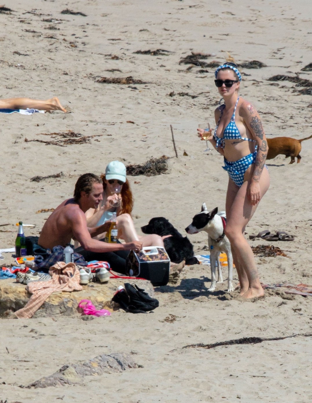ireland-baldwin-sexy-ass-in-vintage-bikini-thefappening-pro-16 ireland baldwin sexy ass in vintage bikini thefappening pro 16