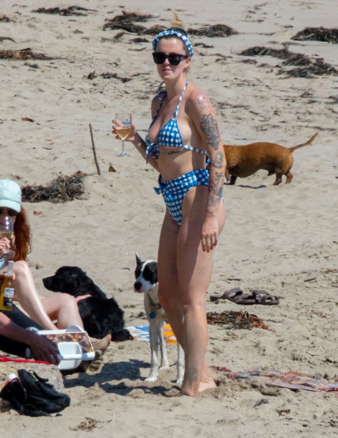 ireland-baldwin-sexy-ass-in-vintage-bikini-thefappening-pro-17 ireland baldwin sexy ass in vintage bikini thefappening pro 17