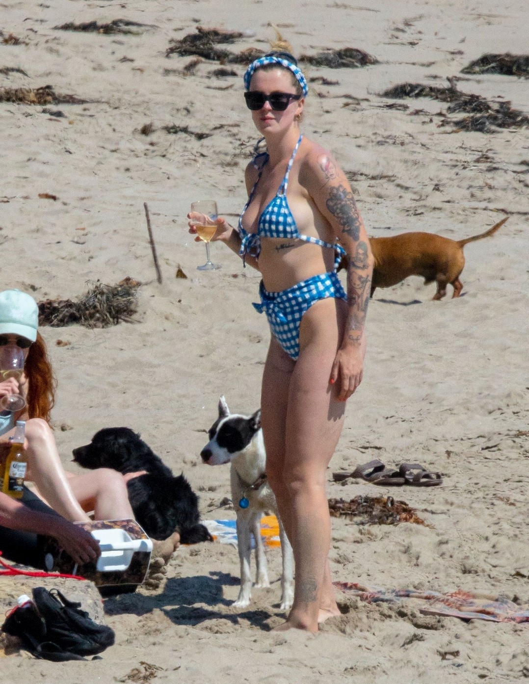 ireland-baldwin-sexy-ass-in-vintage-bikini-thefappening-pro-4 ireland baldwin sexy ass in vintage bikini thefappening pro 4