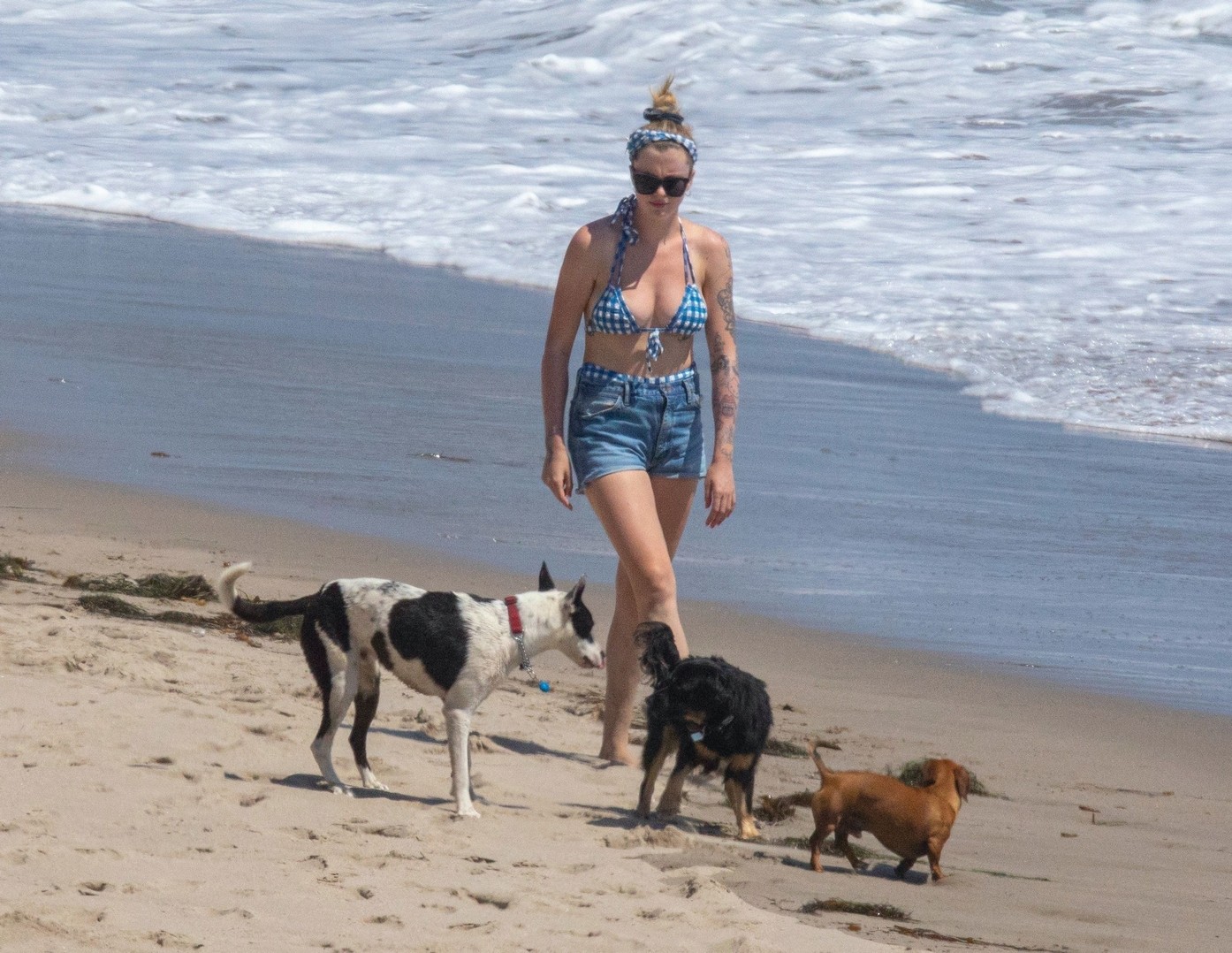 ireland-baldwin-sexy-ass-in-vintage-bikini-thefappening-pro-65 ireland baldwin sexy ass in vintage bikini thefappening pro 65