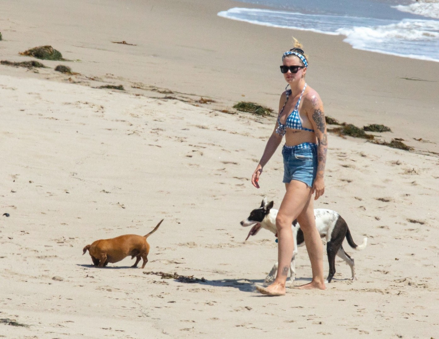 ireland-baldwin-sexy-ass-in-vintage-bikini-thefappening-pro-68 ireland baldwin sexy ass in vintage bikini thefappening pro 68