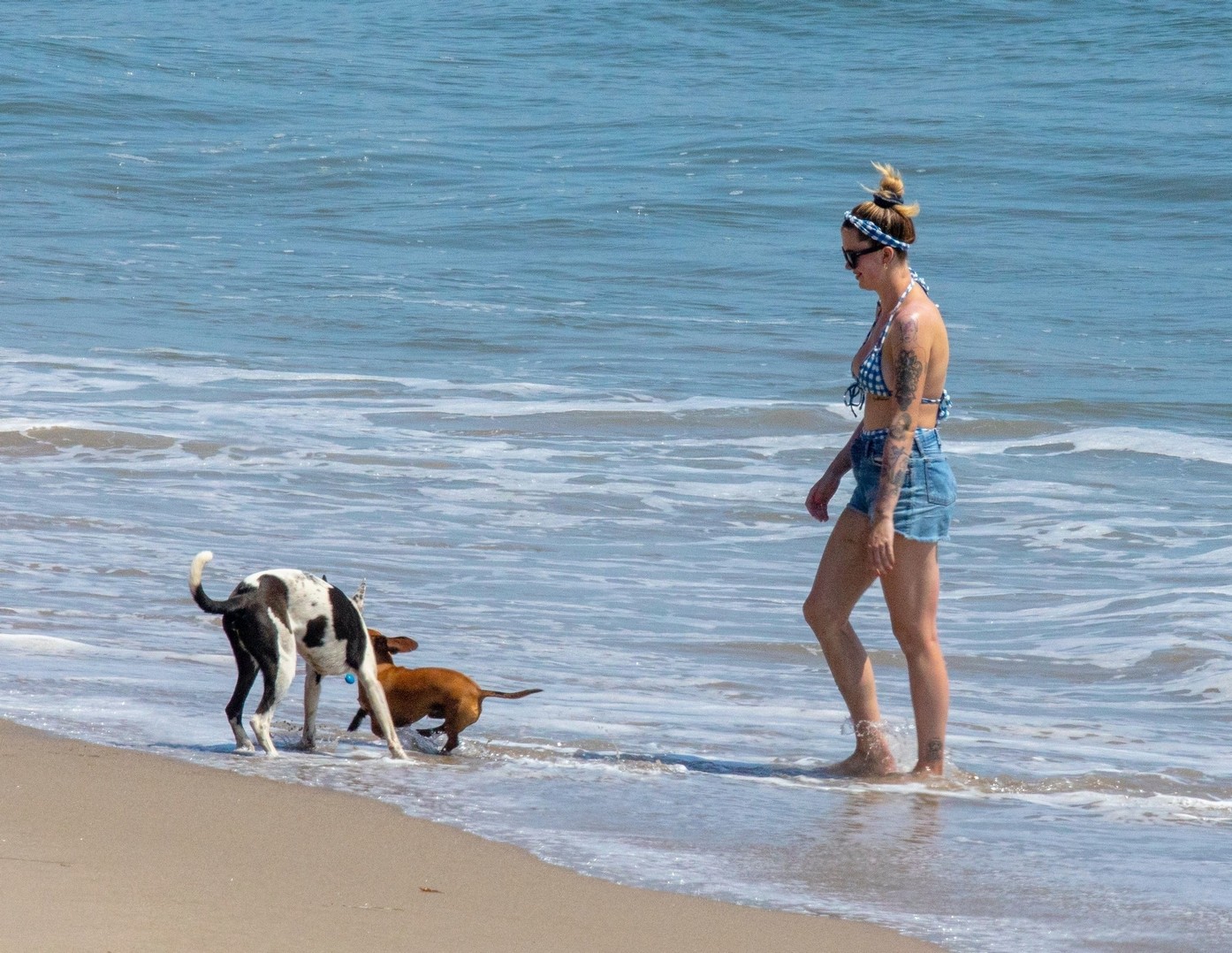 ireland-baldwin-sexy-ass-in-vintage-bikini-thefappening-pro-70 ireland baldwin sexy ass in vintage bikini thefappening pro 70