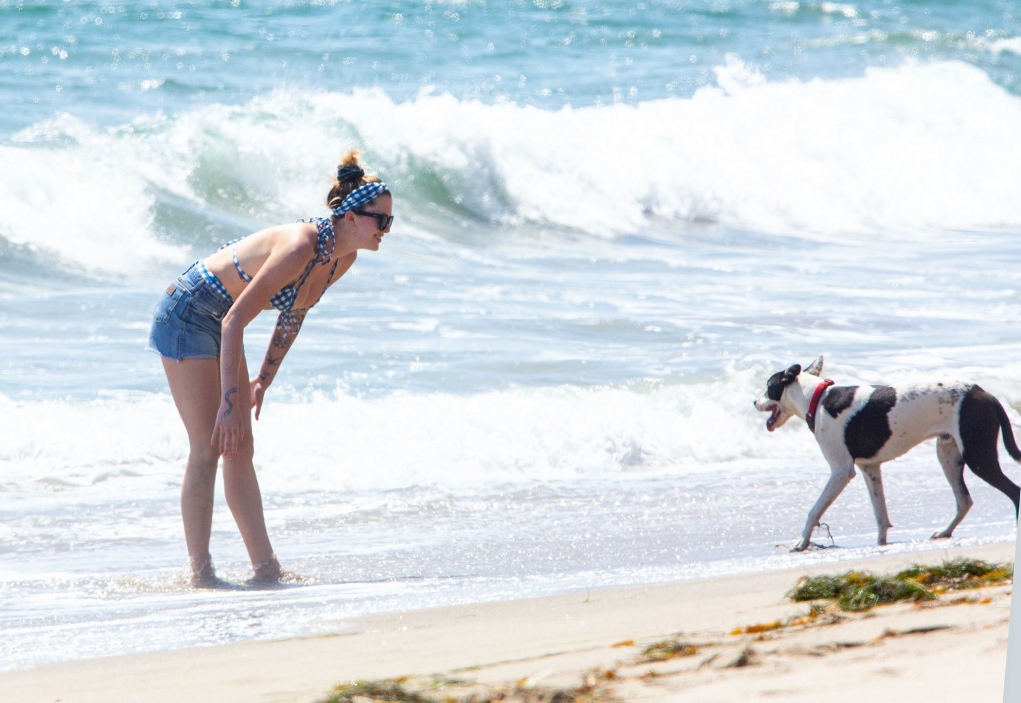 ireland-baldwin-sexy-ass-in-vintage-bikini-thefappening-pro-82 ireland baldwin sexy ass in vintage bikini thefappening pro 82