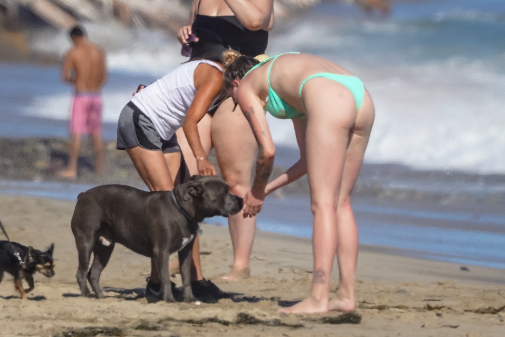 ireland-baldwin-sexy-tits-in-a-bikini-thefappening-pro-58 ireland baldwin sexy tits in a bikini thefappening pro 58