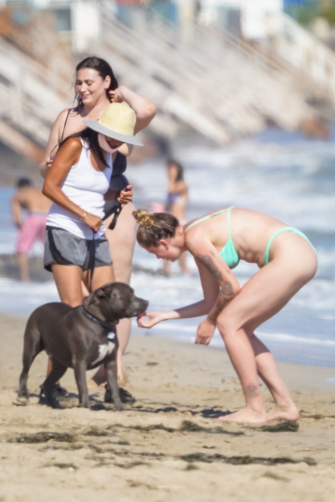 ireland-baldwin-sexy-tits-in-a-bikini-thefappening-pro-7 ireland baldwin sexy tits in a bikini thefappening pro 7