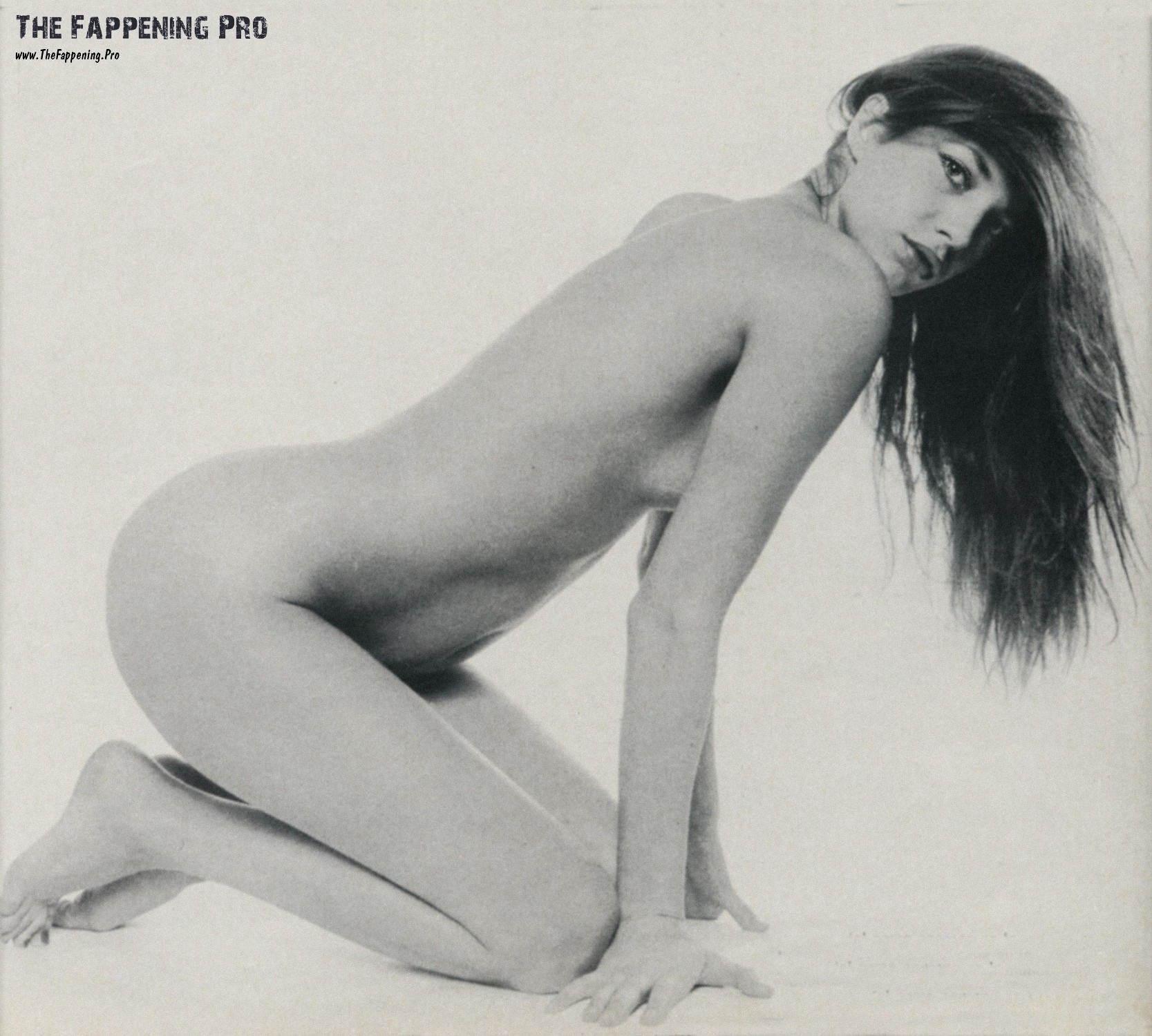 jane-birkin-nude-thefappening-cfd-2 jane birkin nude thefappening cfd 2