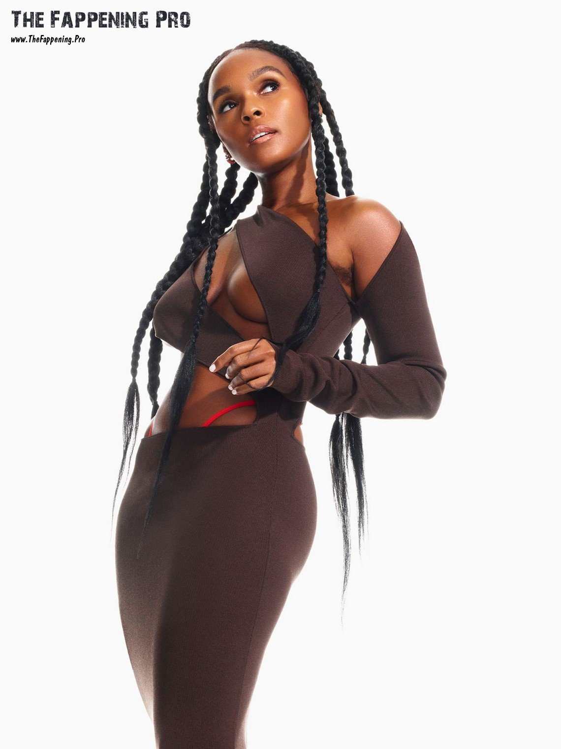 janelle-monae-nude-thefappening-cfd-2 janelle monae nude thefappening cfd 2