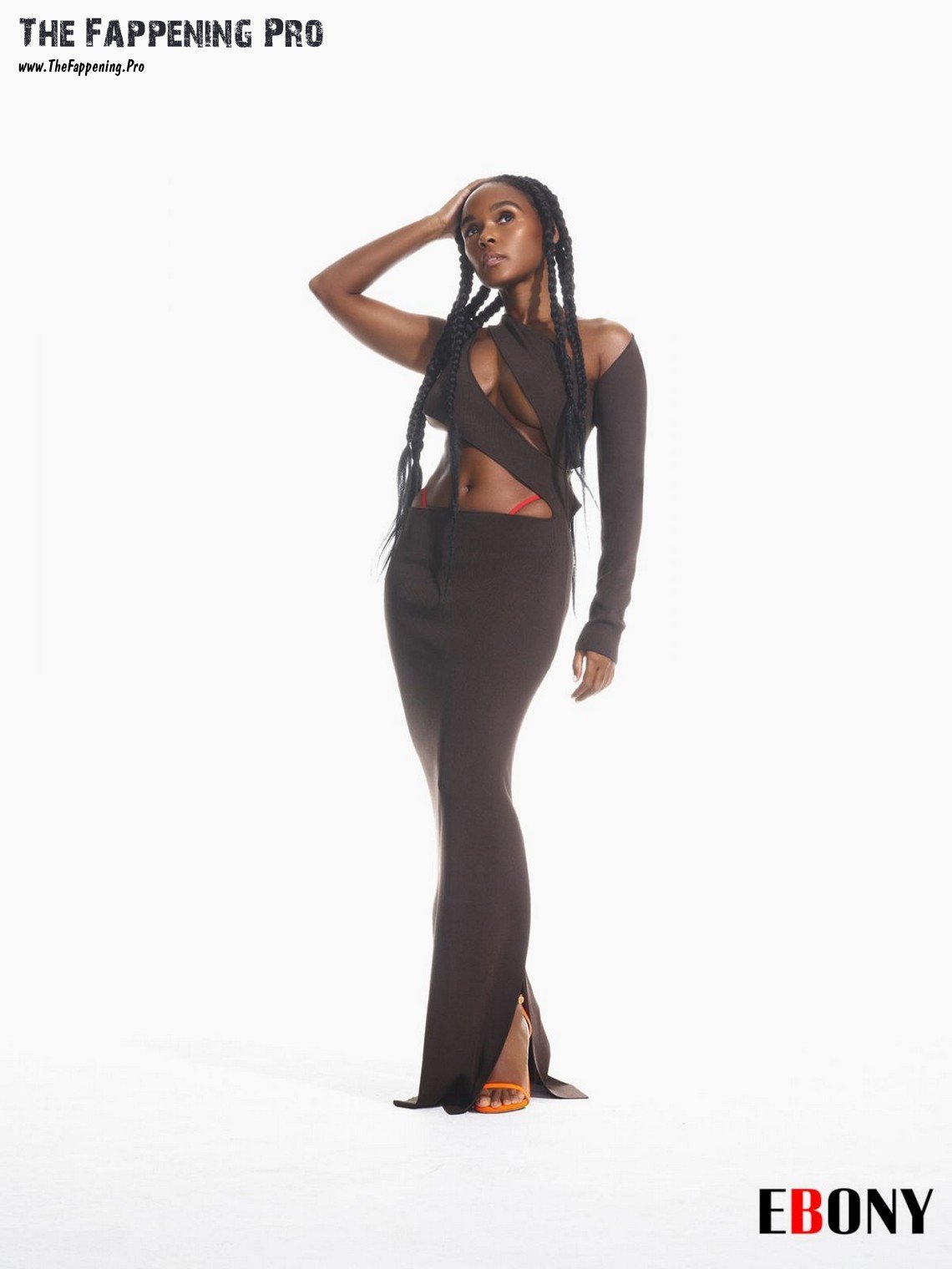 janelle-monae-nude-thefappening-cfd-9 janelle monae nude thefappening cfd 9