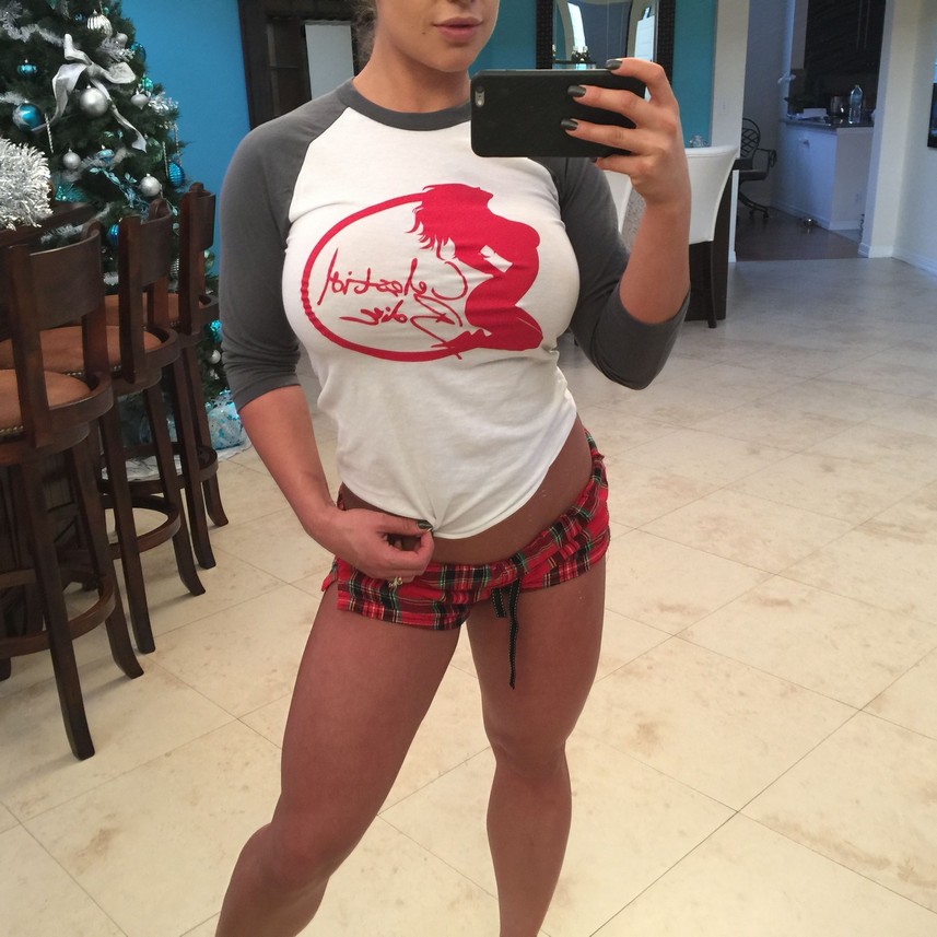 kaitlyn-wwe-nude-the-fappening-pro-4 kaitlyn wwe nude the fappening pro 4