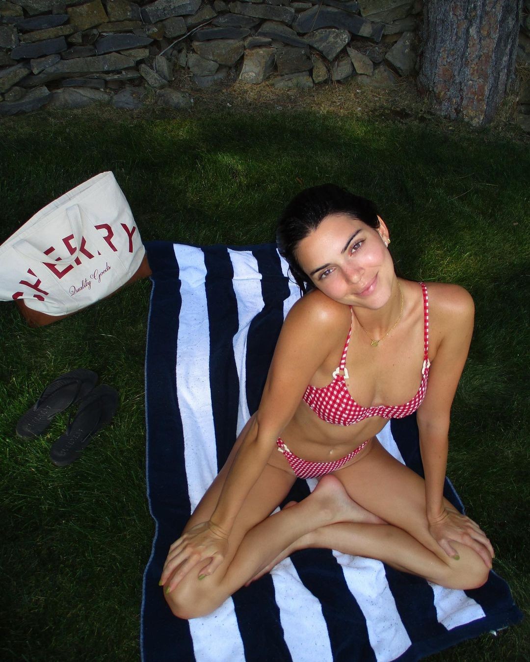 kendall-jenner-cherry-bikini-thefappening-cfd-1-1 Kendall Jenner Sexy Bikini