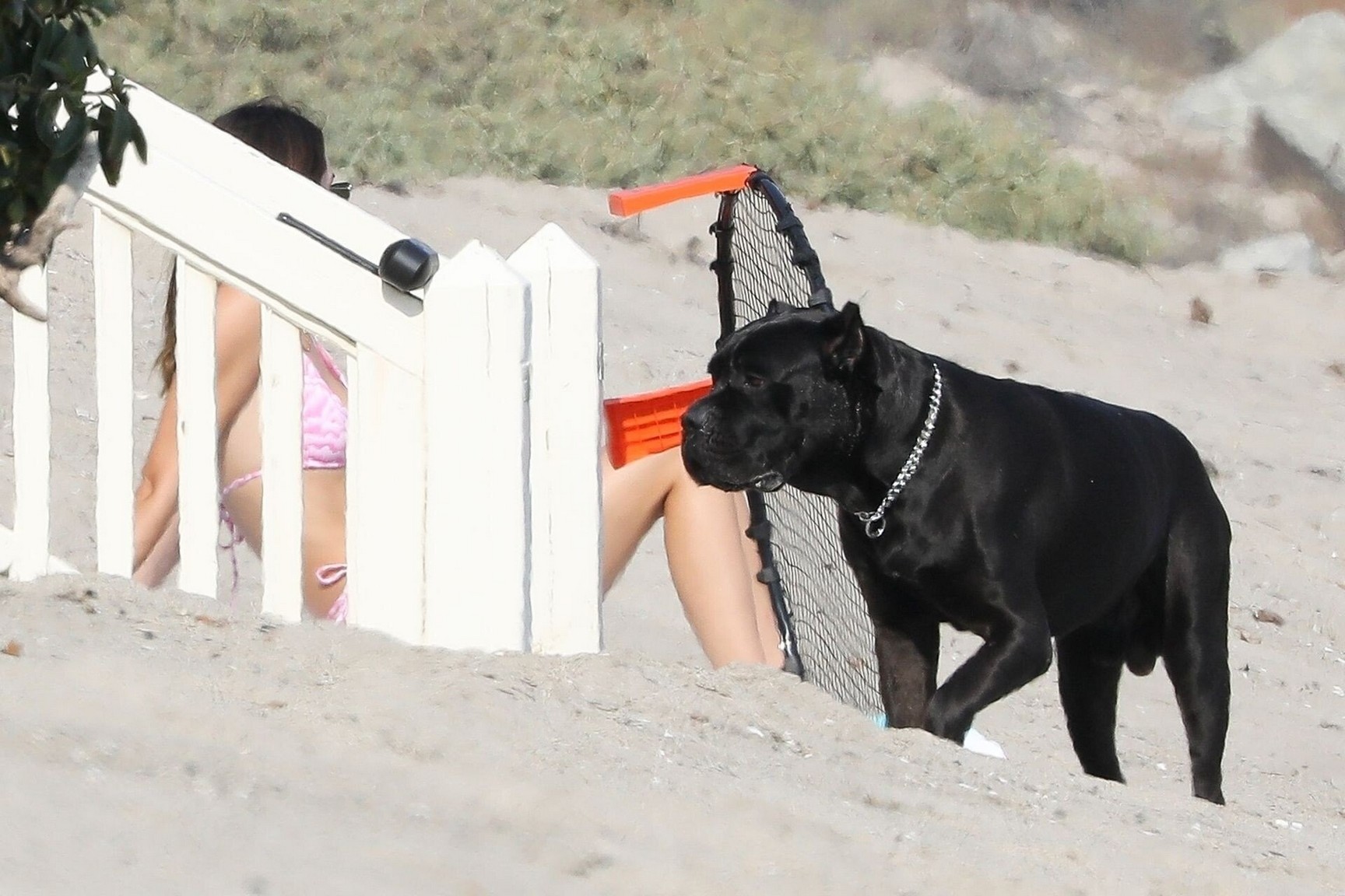 kendall-jenner-enjoys-the-company-of-devin-booker-on-the-beach-thefappening-cfd-10 kendall jenner enjoys the company of devin booker on the beach thefappening cfd 10