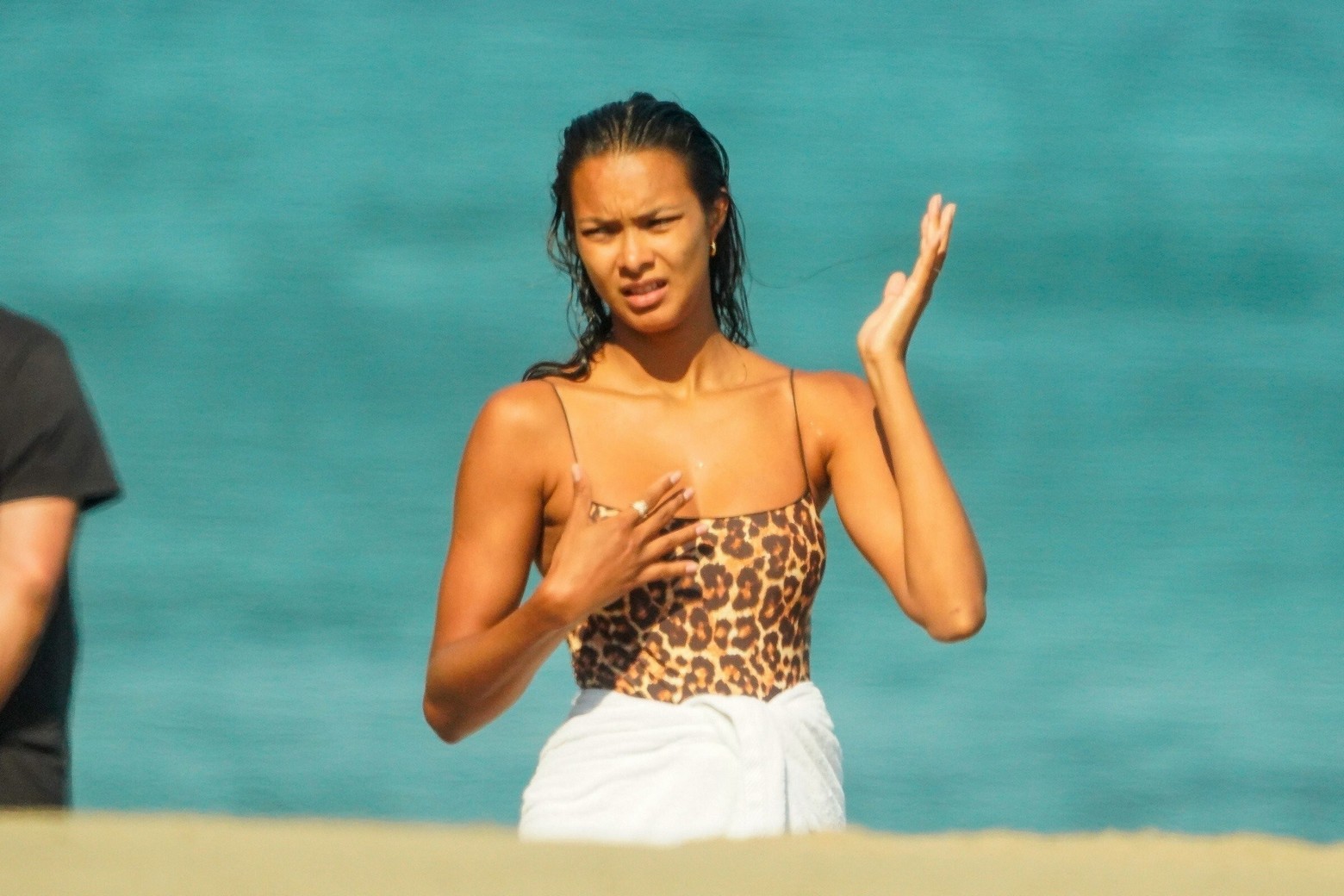 lais-ribeiro-sexy-leopard-bikini-thefappening-pro-33 lais ribeiro sexy leopard bikini thefappening pro 33