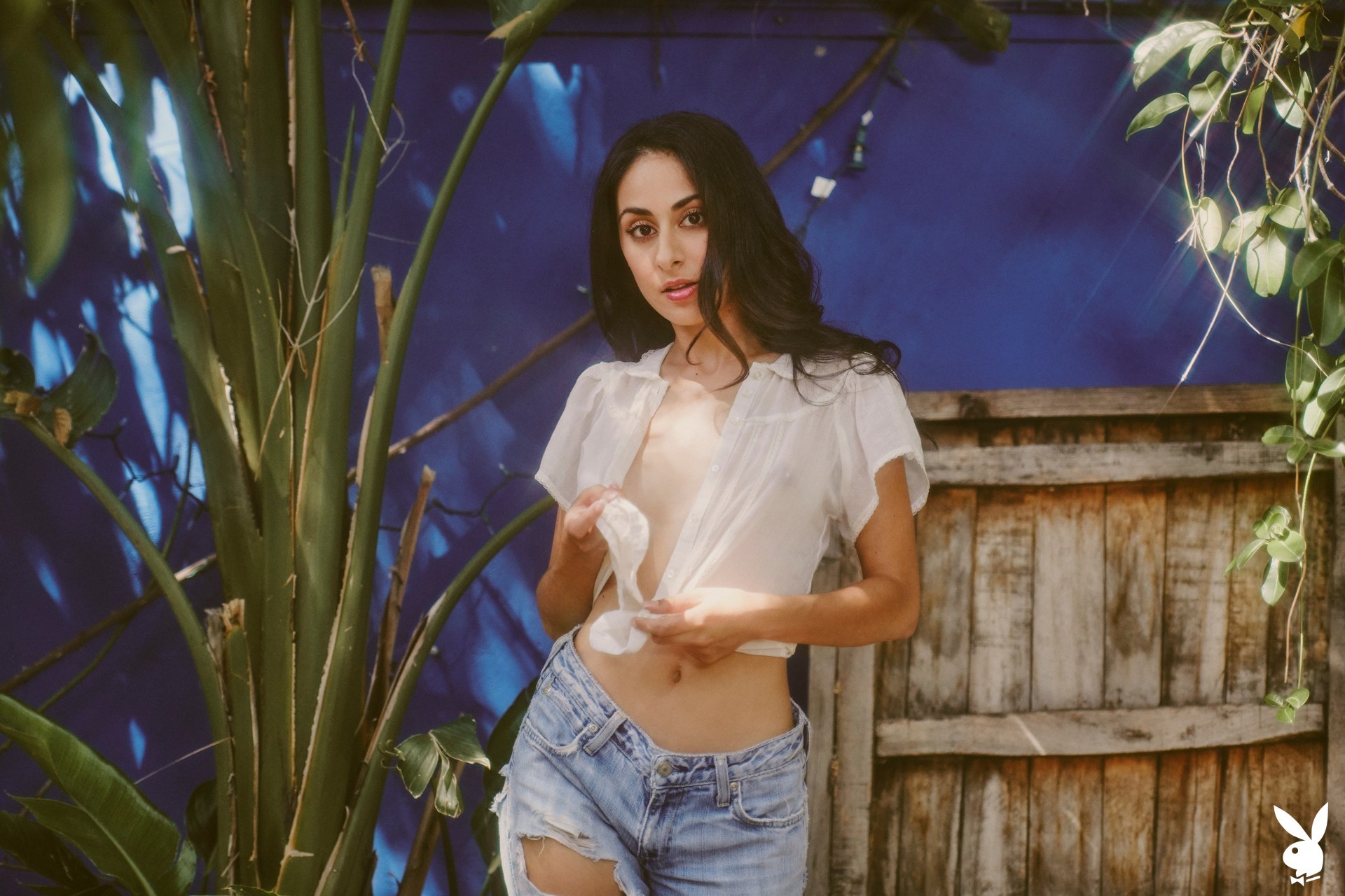 leighla-habib-nude-thefappening-cfd-14 leighla habib nude thefappening cfd 14