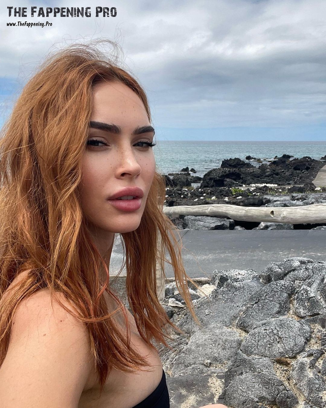 megan-fox-sexy-bikini-thefappening-cfd-1 Megan Fox Selfie