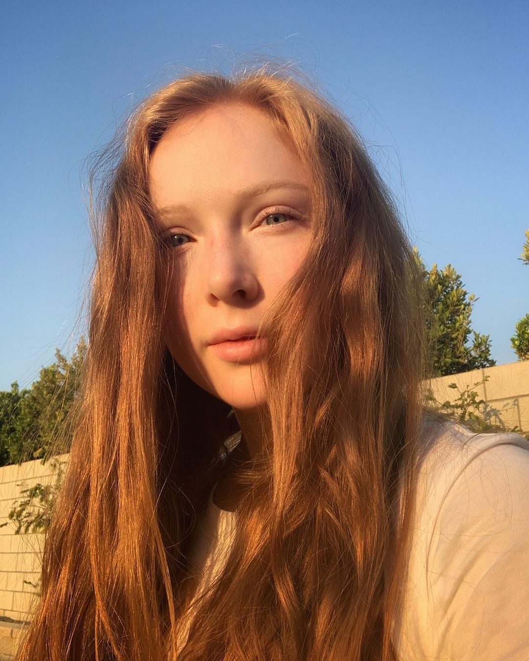 molly-quinn-selfie-thefappening-cfd-9 molly quinn selfie thefappening cfd 9