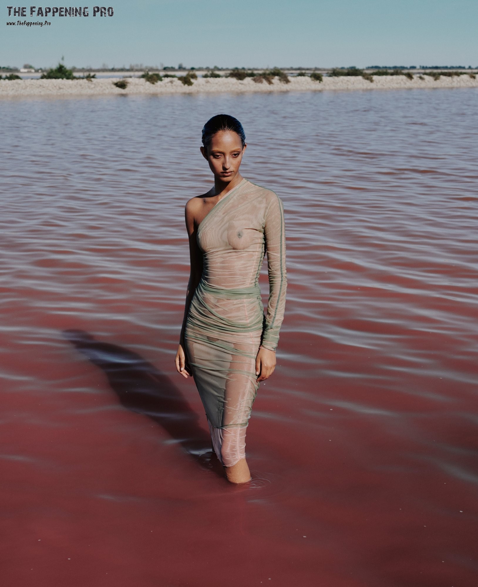 mona-tougaard-nude-thefappening-cfd-3 Mona Tougaard See Through Nudity