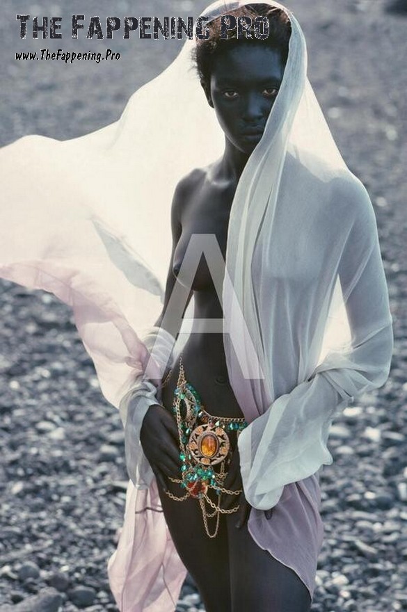 naomi-campbell-nude-thefappening-cfd-18 naomi campbell nude thefappening cfd 18