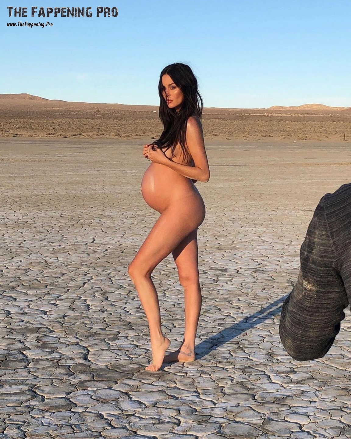 nicole-trunfio-nude-pregnant-thefappening-cfd-3 Nicole Trunfio Nude Pregnant