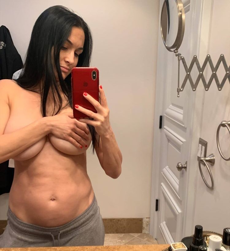 nikki-bella-nude-pregnant-thefappening-pro-2 Nikki Bella Topless