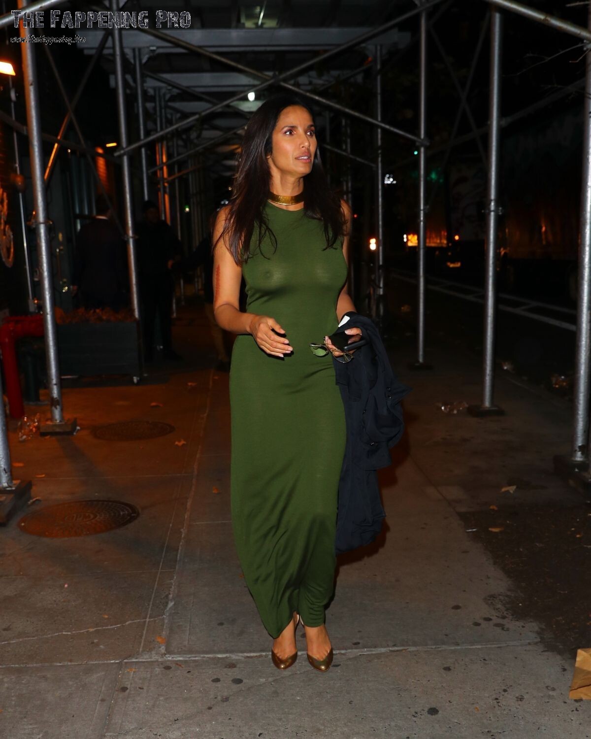 padma-lakshmi-leggy-thefappening-cfd-3 Padma Lakshmi See Through Nudity