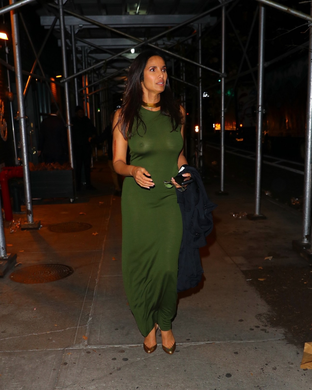 padma-lakshmi-see-through-thefappening-cfd-5 Padma Lakshmi Topless