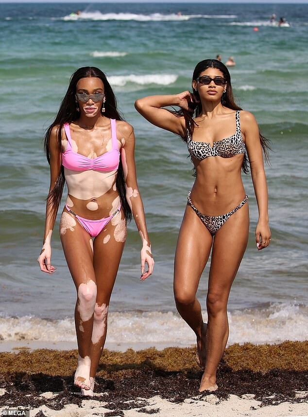 pics-of-danielle-herrington-in-sexy-bikini-on-the-beach-made-by-paparazzi-thefappening-cfd-12 pics of danielle herrington in sexy bikini on the beach made by paparazzi thefappening cfd 12