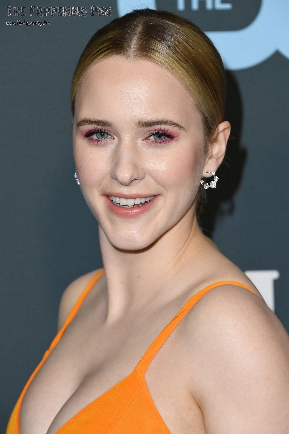 rachel-brosnahan-tits-thefappening-cfd-5 rachel brosnahan tits thefappening cfd 5