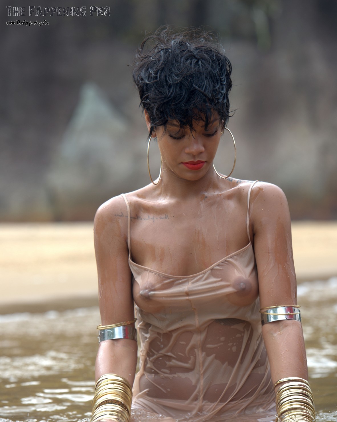 rihanna-nude-young-thefappening-cfd-30 rihanna nude young thefappening cfd 30