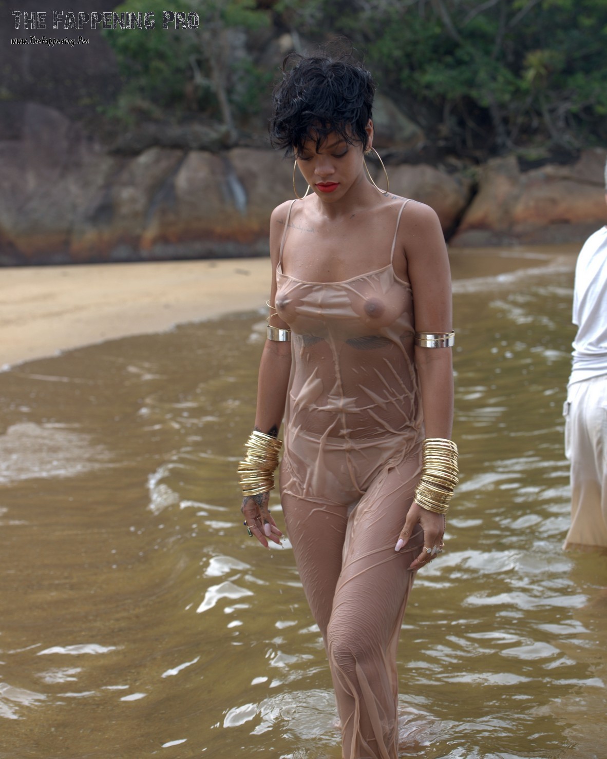 rihanna-nude-young-thefappening-cfd-35 rihanna nude young thefappening cfd 35
