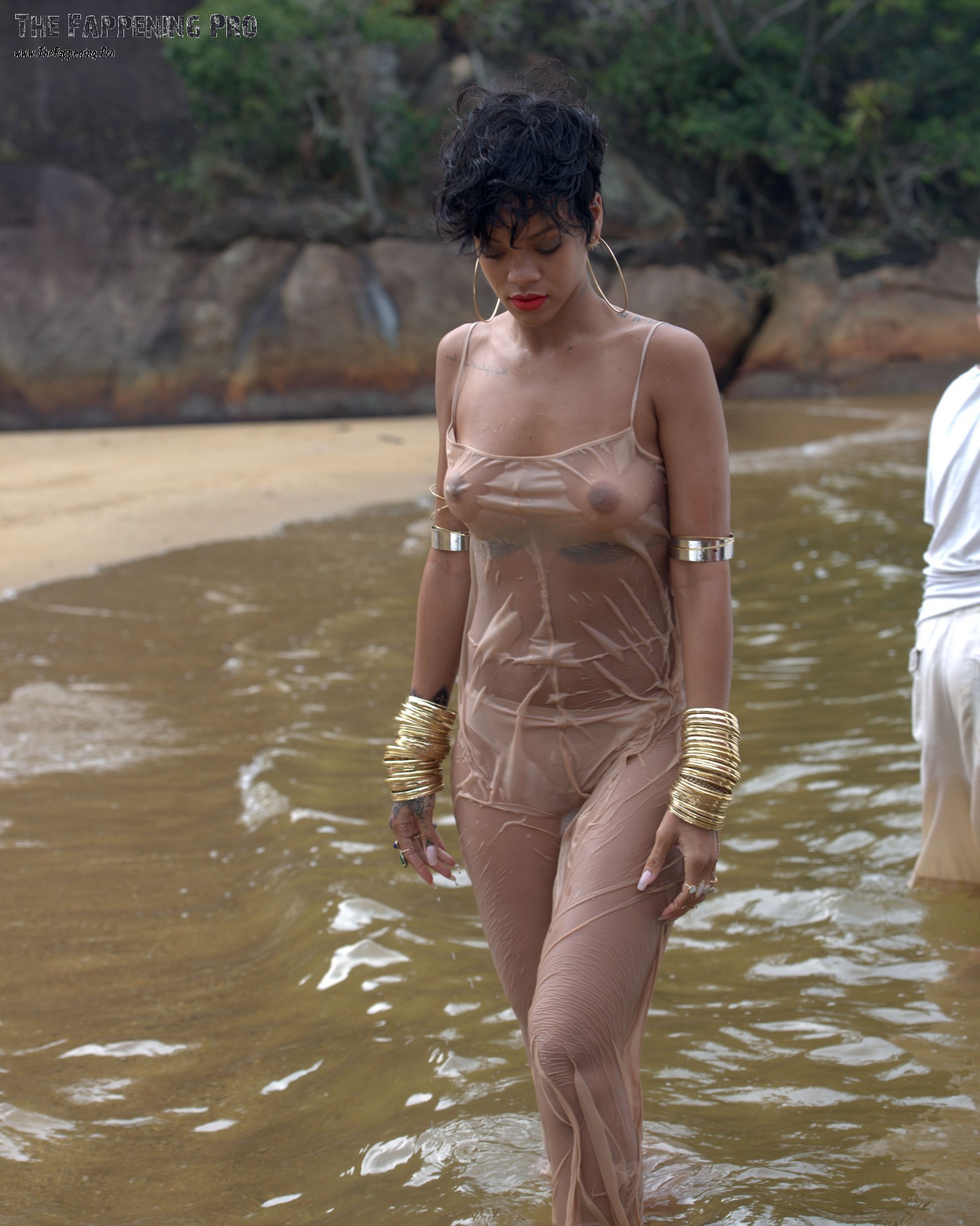 rihanna-nude-young-thefappening-cfd-41 rihanna nude young thefappening cfd 41
