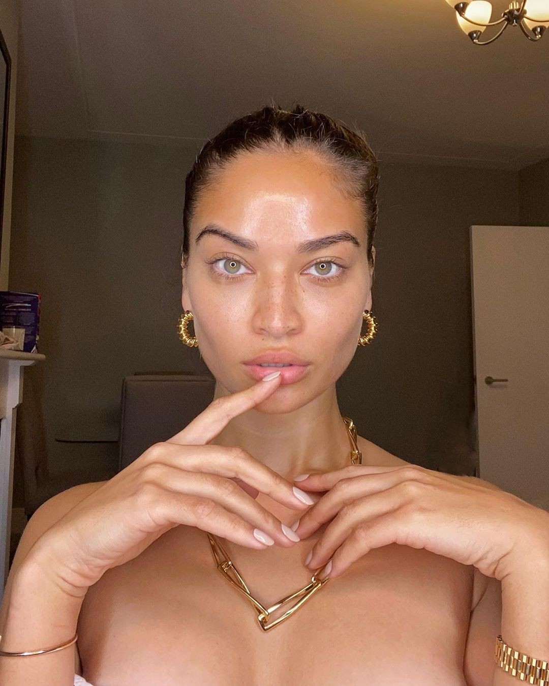 shanina-shaik-sexy-thefappeningpro-10 Shanina Shaik Topless