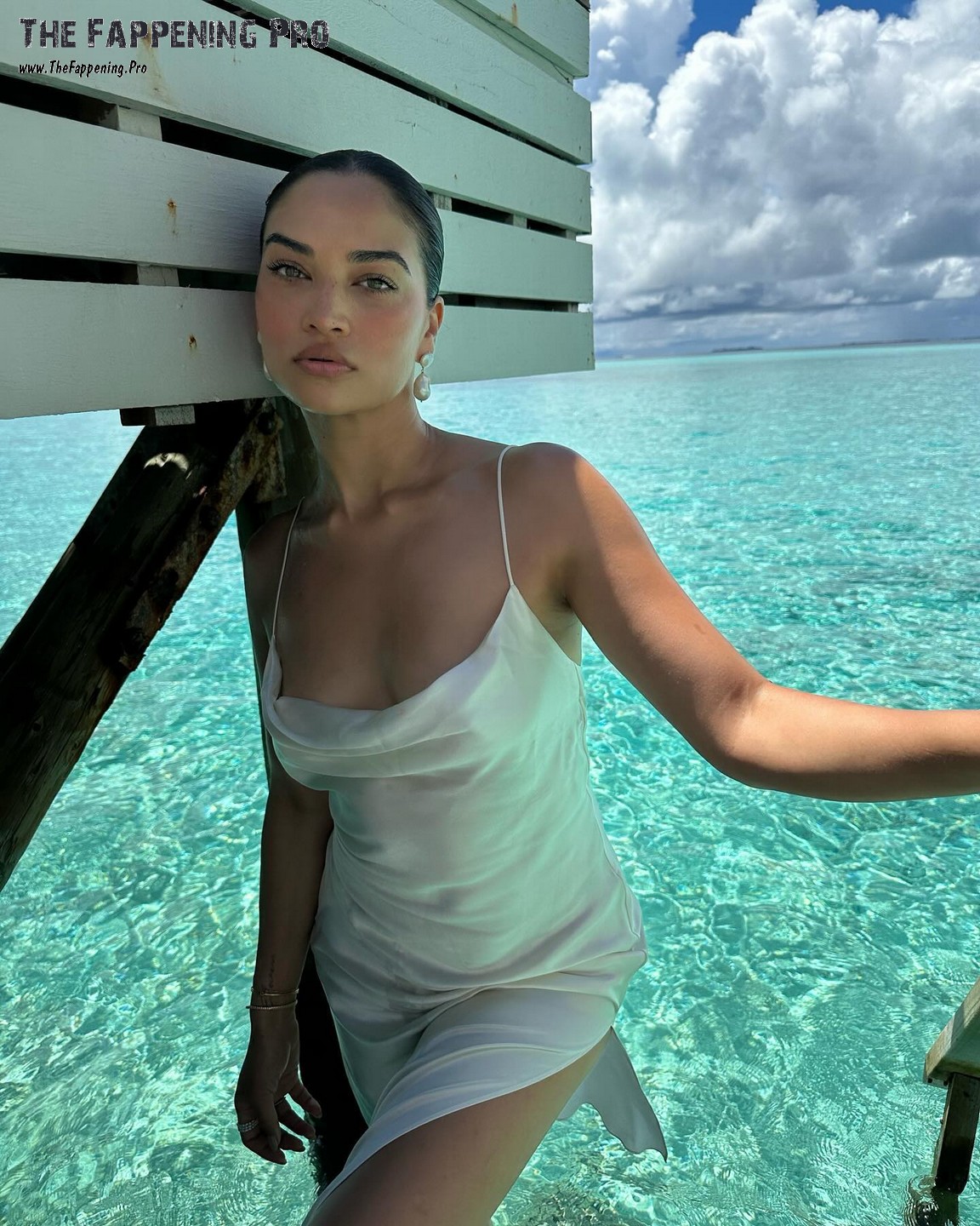 shanina-shaik-tits-thefappening-cfd-3 Shanina Shaik Fappening