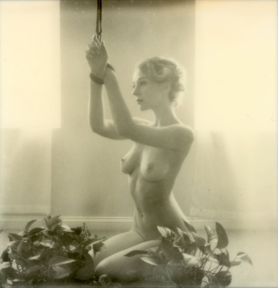 shelbie-dimond-nude-thefappening-cfd-61 shelbie dimond nude thefappening cfd 61
